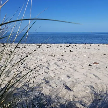 Дом отдыха Alt's Landhuus *