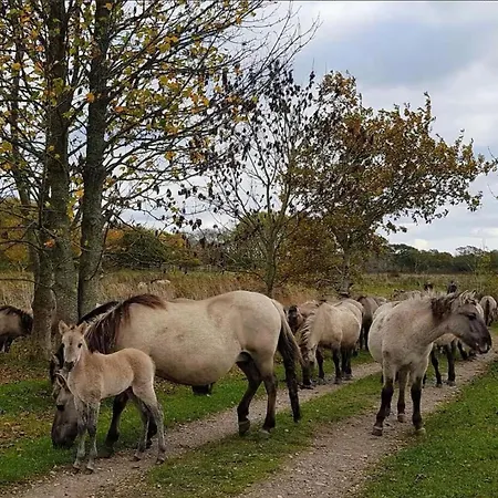 Alt's Landhuus Дом отдыха