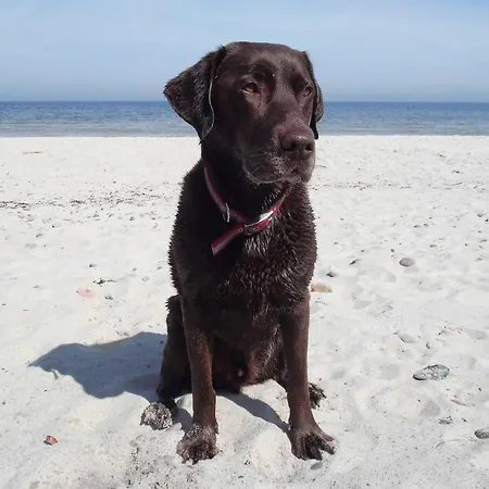 Alt's Landhuus Дом отдыха